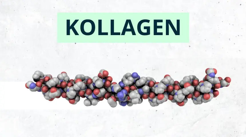 Kollagen – Anti-Aging für Haut, Gelenke und den gesamten Körper?