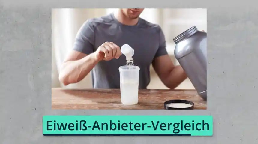 Welche Arten von Eiweiß-Shakes gibt es?