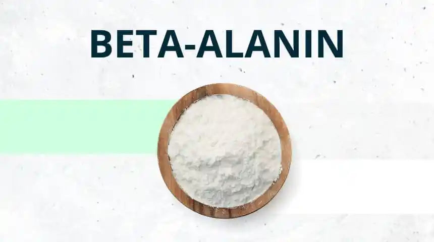 Beta-Alanin– Was ist bei der Beta-Alanin Einnahme und Wirkung zu beachten?