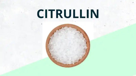 Citrullin – die wichtigsten Fakten nach aktueller Studienlage - Brandl Nutrition