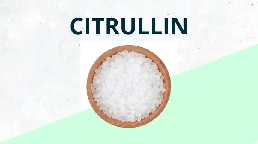 Citrullin – die wichtigsten Fakten nach aktueller Studienlage