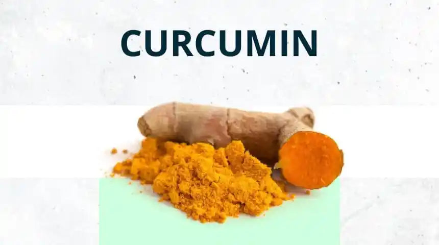 Curcumin vs. Kurkuma