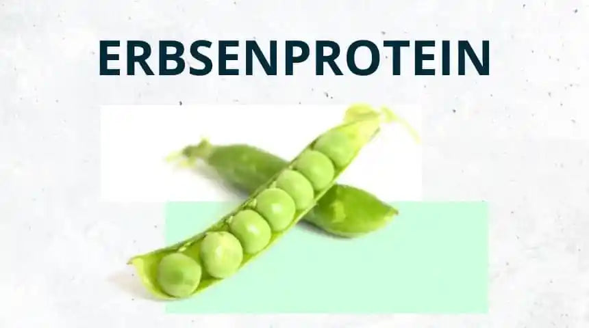 Erbsenprotein – Alle Fakten, Vor- und Nachteile auf einen Blick