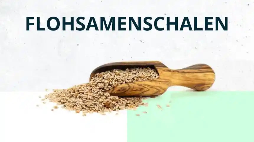 Flohsamenschalen – Das musst du über das Power-Pulver wissen