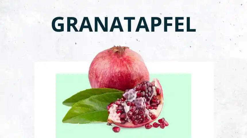 Granatapfel – das super Superfood?