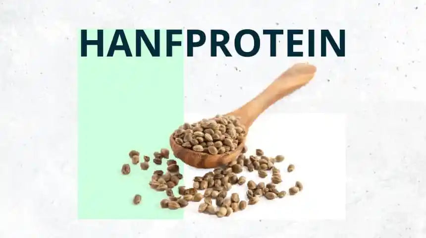 Hanfprotein – Das steckt in dem Trendprotein