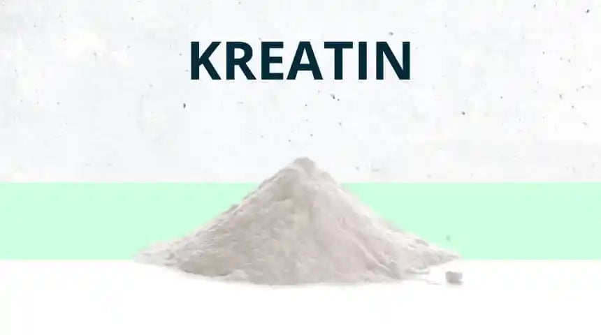 Kreatin (Creatin) Monohydrat – Was ist bei der Kreatin Einnahme und Wirkung zu beachten?