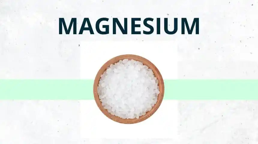 Magnesium – Was ist bei der Magnesium Einnahme und Wirkung zu beachten?