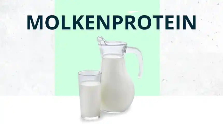 Whey Protein – Alles was du über die beliebte Proteinquelle wissen solltest!