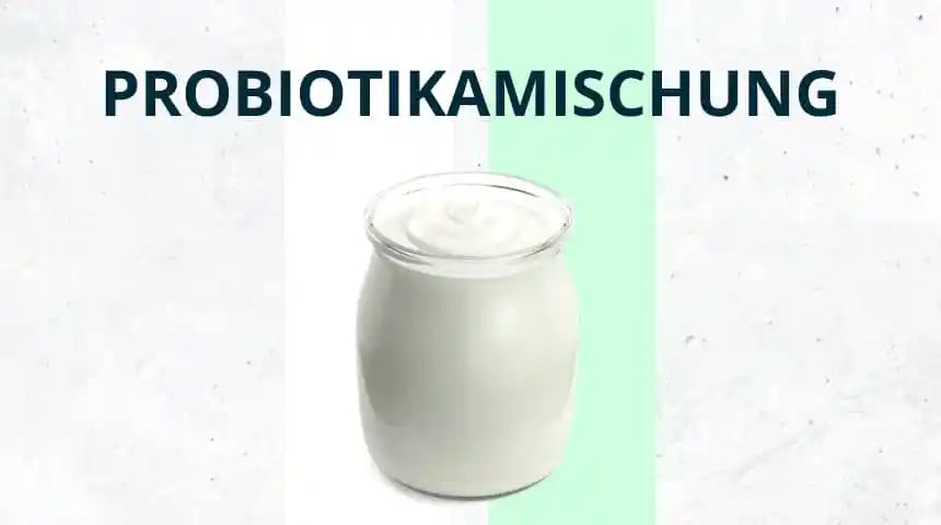 Probiotika – die aktuelle Studienlage