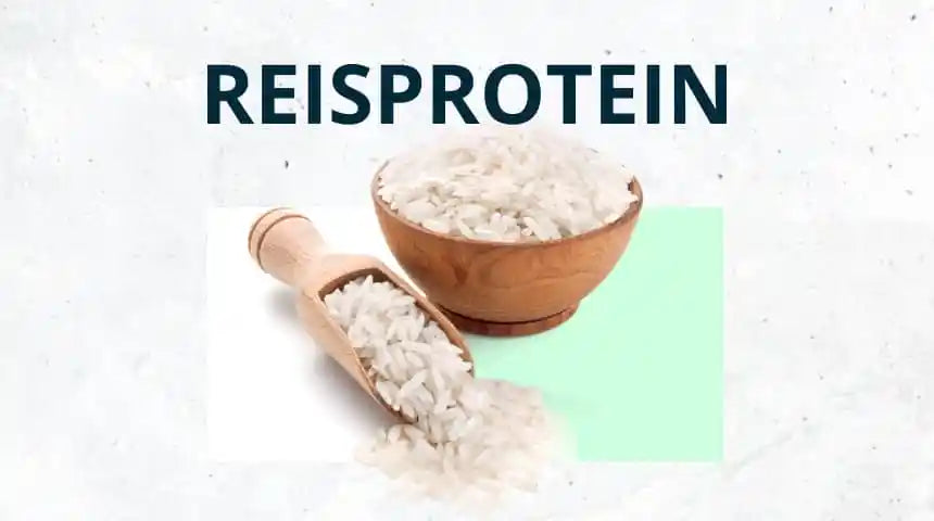 Reisprotein – 6 Fakten über eine unterschätzte Proteinquelle