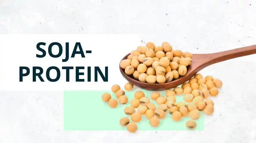 Sojaprotein – was steckt dahinter