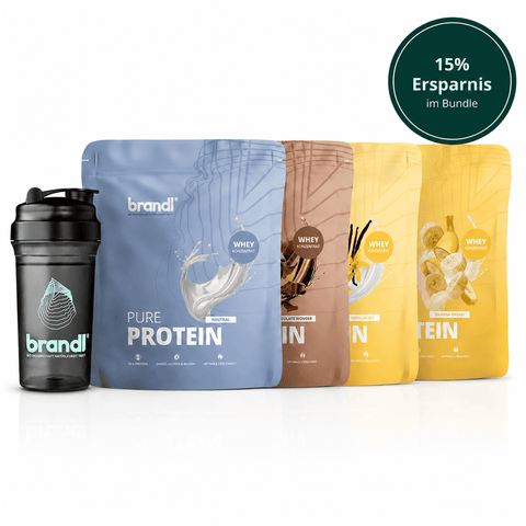 Schwarze brandl shakerflasche mit transparentem körper und türkisfarbenem logo im 3-er protein bundle whey