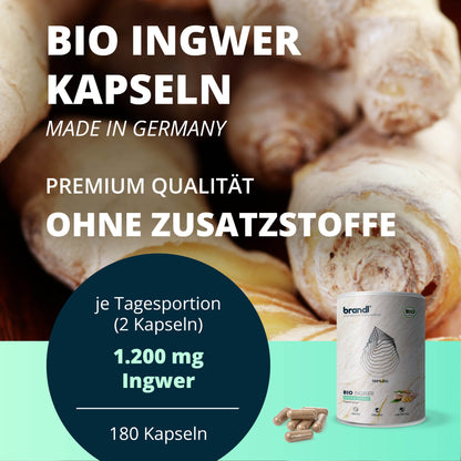 Bio Ingwer Kapseln