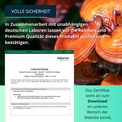 Bio Reishi Kapseln