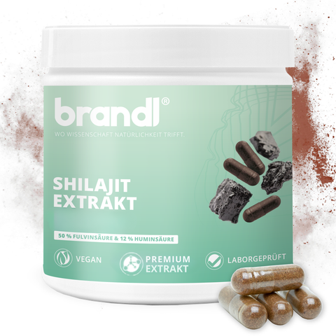 Shilajit Extrakt Kapseln