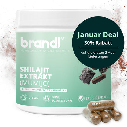 Shilajit Extrakt Kapseln