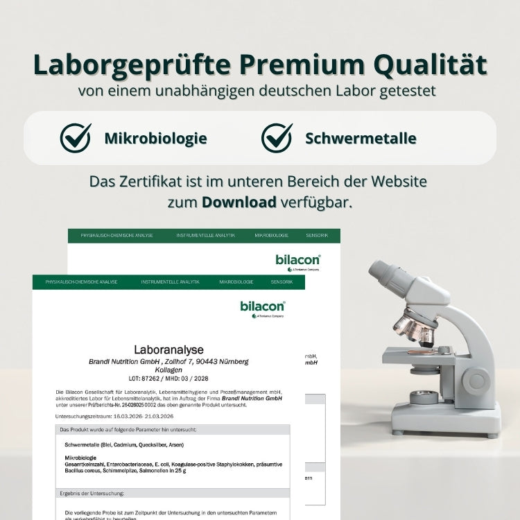 Weißer und grauer schnittmikroskop mit modernem design im kollagen typ i ii und iii bundle