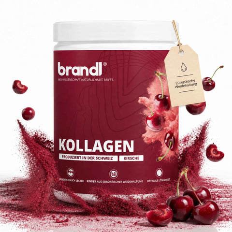 Kollagen Pulver