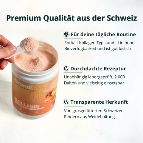 Brandi kollagenpulver im weiß-orange behälter mit einem löffel voll hellrosa-braunem pulver aus kollagen typ i ii und iii bundle