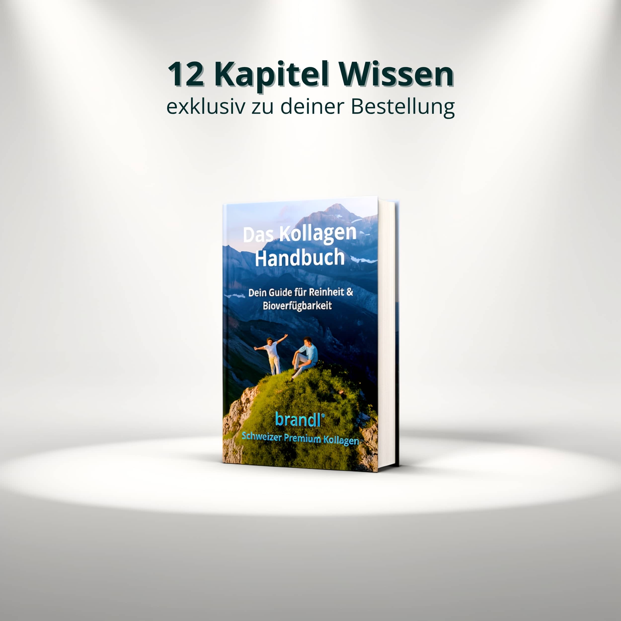 Das kollagen handbuch mit farbigem cover und bergmotiv von brand swiss premium collagen kollagen pulver