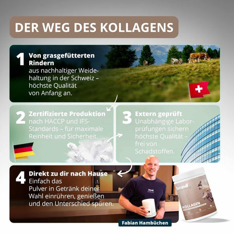 Braun-weißer zylinderförmiger behälter mit brandl kollagen pulver und weidenkuhbild auf dem etikett