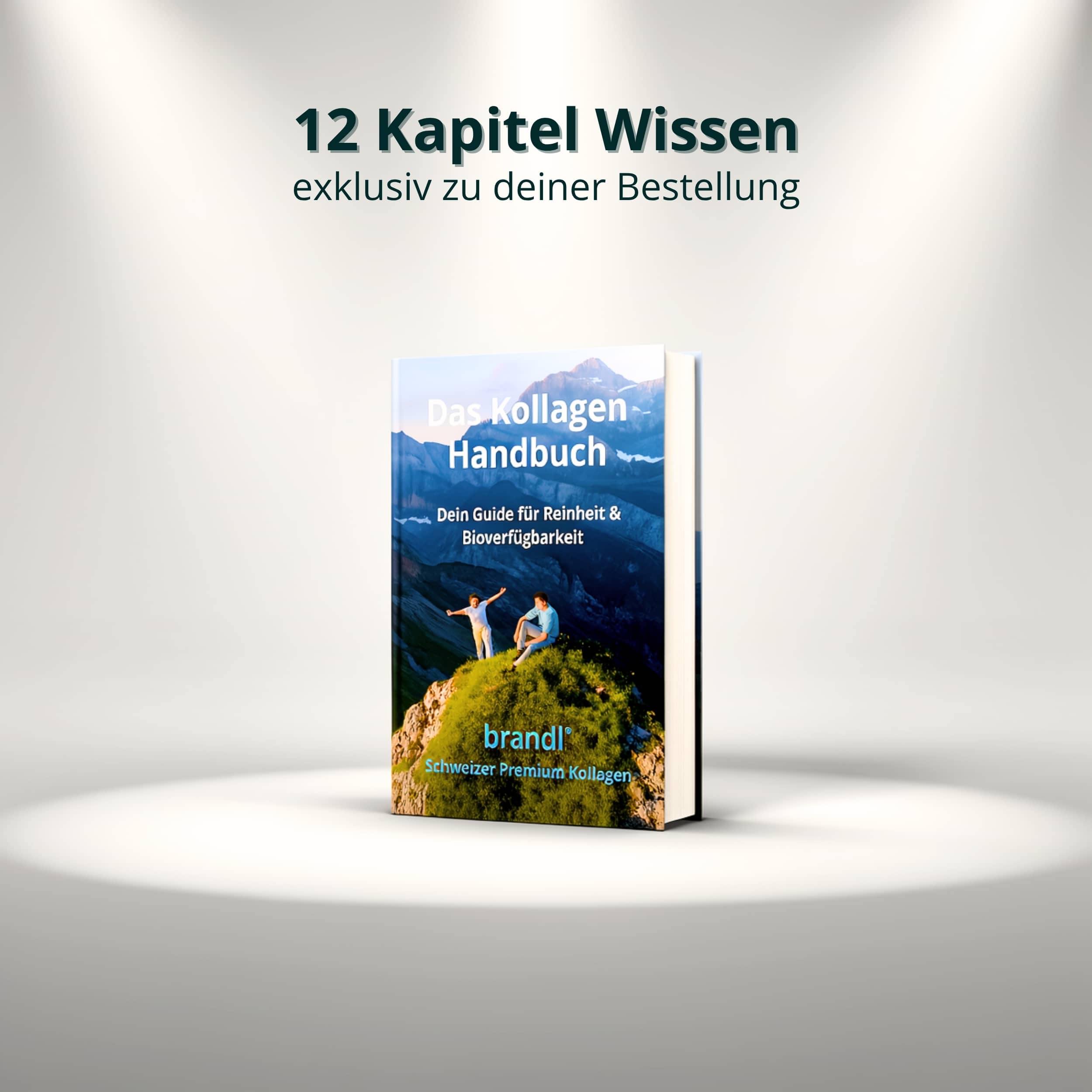 Das kollagen handbuch von brandl zeigt ein buntes cover mit zwei personen auf einem grasbewachsenen berggipfel