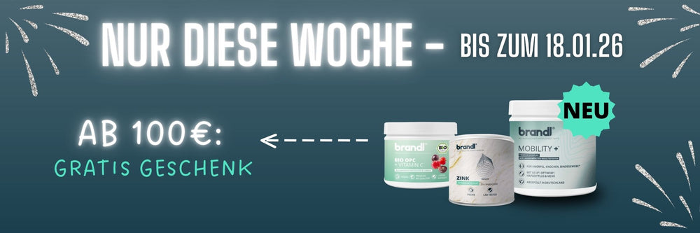 Angebot Banner am 100€ gratis geschenk