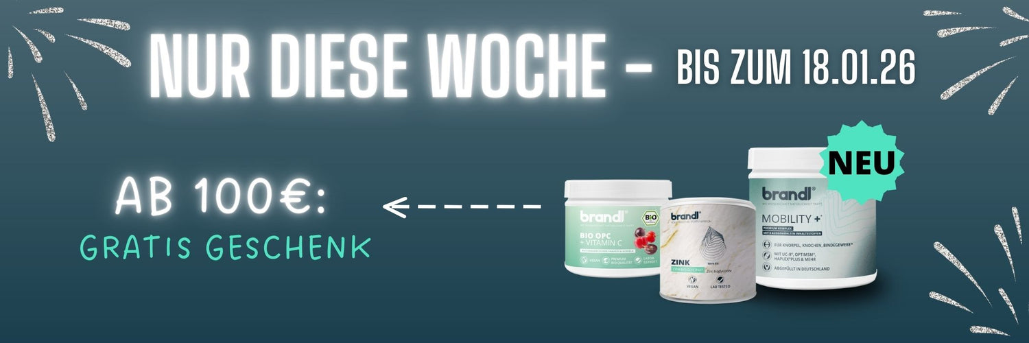 Angebot Banner am 100€ gratis geschenk