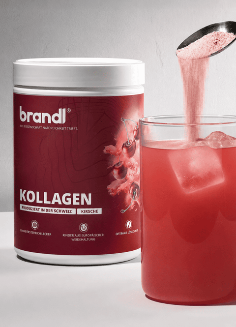 Kollagen Pulver