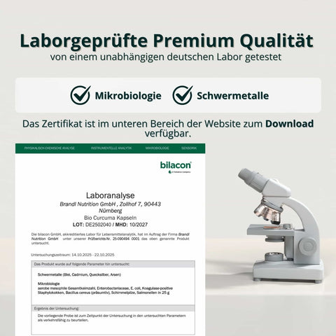 Bio Curcuma Extrakt - Brandl Nutrition