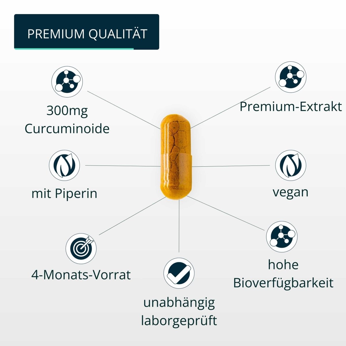 Bio Curcuma Extrakt - Brandl Nutrition