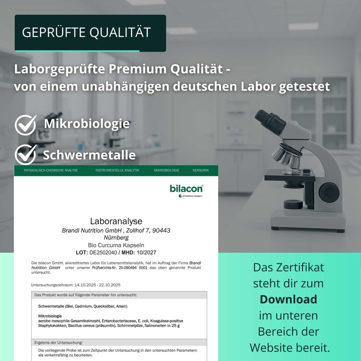 Bio Curcuma Extrakt - Brandl Nutrition