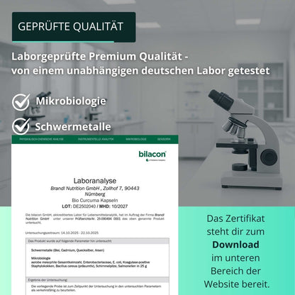 Bio Curcuma Extrakt - Brandl Nutrition