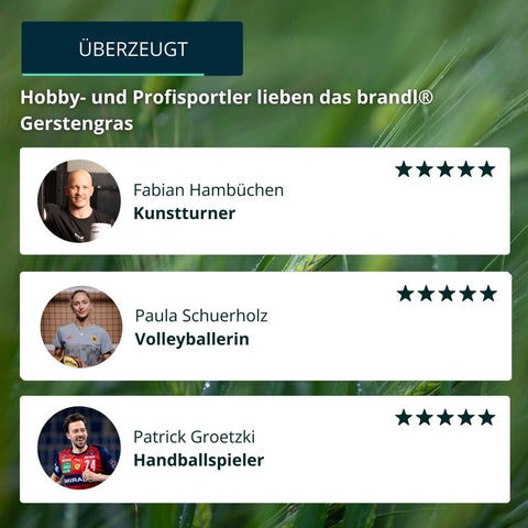 Bio Gerstengras Pulver - Brandl Nutrition