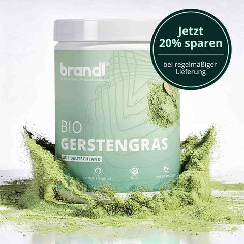Bio Gerstengras Pulver - Brandl Nutrition