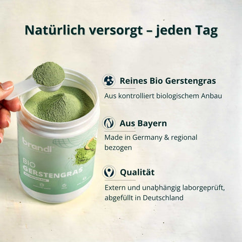 Bio Gerstengras Pulver - Brandl Nutrition