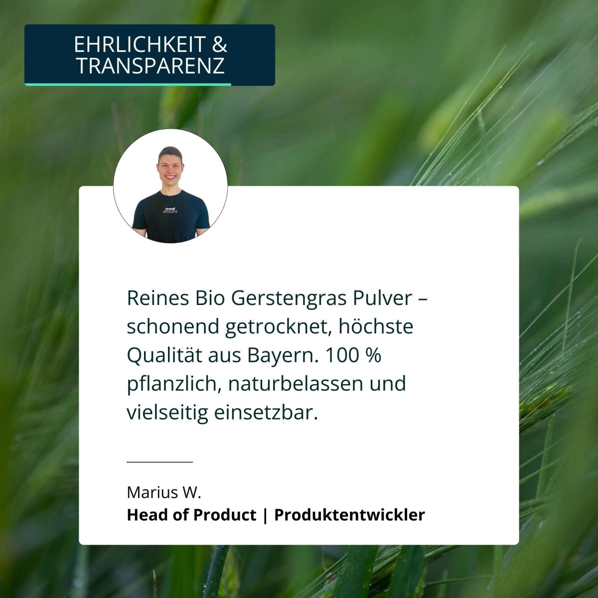Bio Gerstengras Pulver - Brandl Nutrition