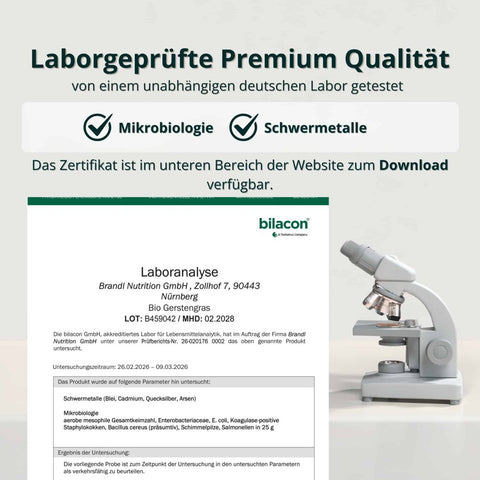 Bio Gerstengras Pulver - Brandl Nutrition