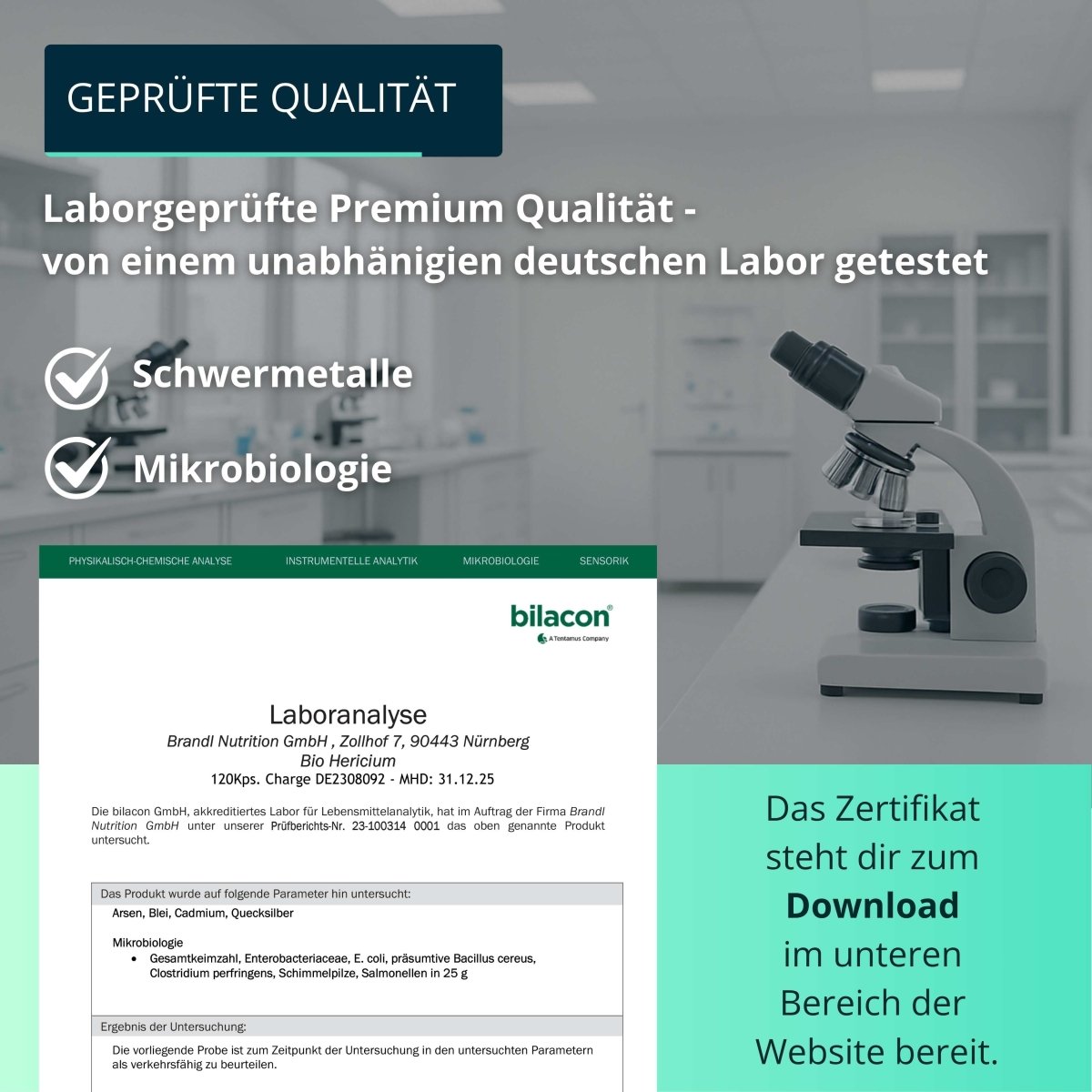 Bio Hericium Kapseln (Lions Mane) - Brandl Nutrition