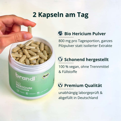 Ein grün etikettierter brandl bio hericium kapseln jar gefüllt mit beigen gelatinekapseln bio hericium kapseln lions mane