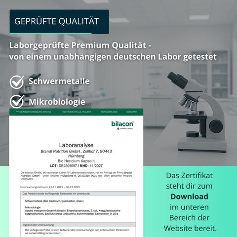 Bio Hericium Kapseln (Lions Mane) - Brandl Nutrition