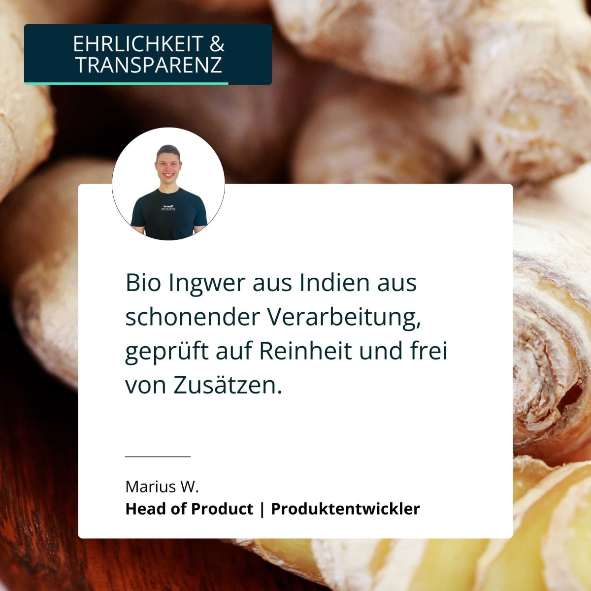 Bio Ingwer Kapseln - Brandl Nutrition