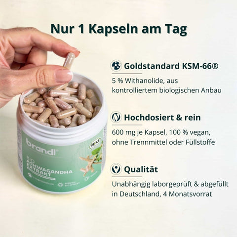 Eine hand hält eine durchscheinend beige kapsel über einem offenen weißen glas brandi bio ashwagandha extrakt mit veganen kapseln