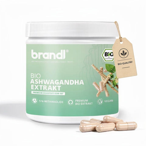 Brandl bio ksm 66 ashwagandha extrakt in weißem behälter mit grünem etikett und verstreuten beigen kapseln