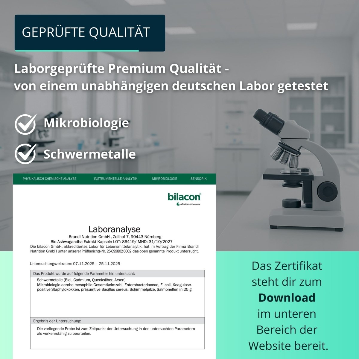 Bio KSM 66® Ashwagandha Extrakt - Brandl Nutrition