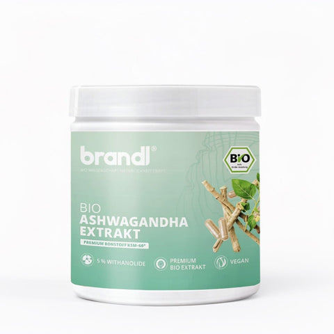 Weißer zylinderförmiger behälter mit mintgrünem label der marke brandl bio ksm 66 ashwagandha extrakt organisch