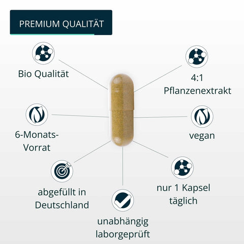 Bio Mönchspeffer Extrakt - Brandl Nutrition