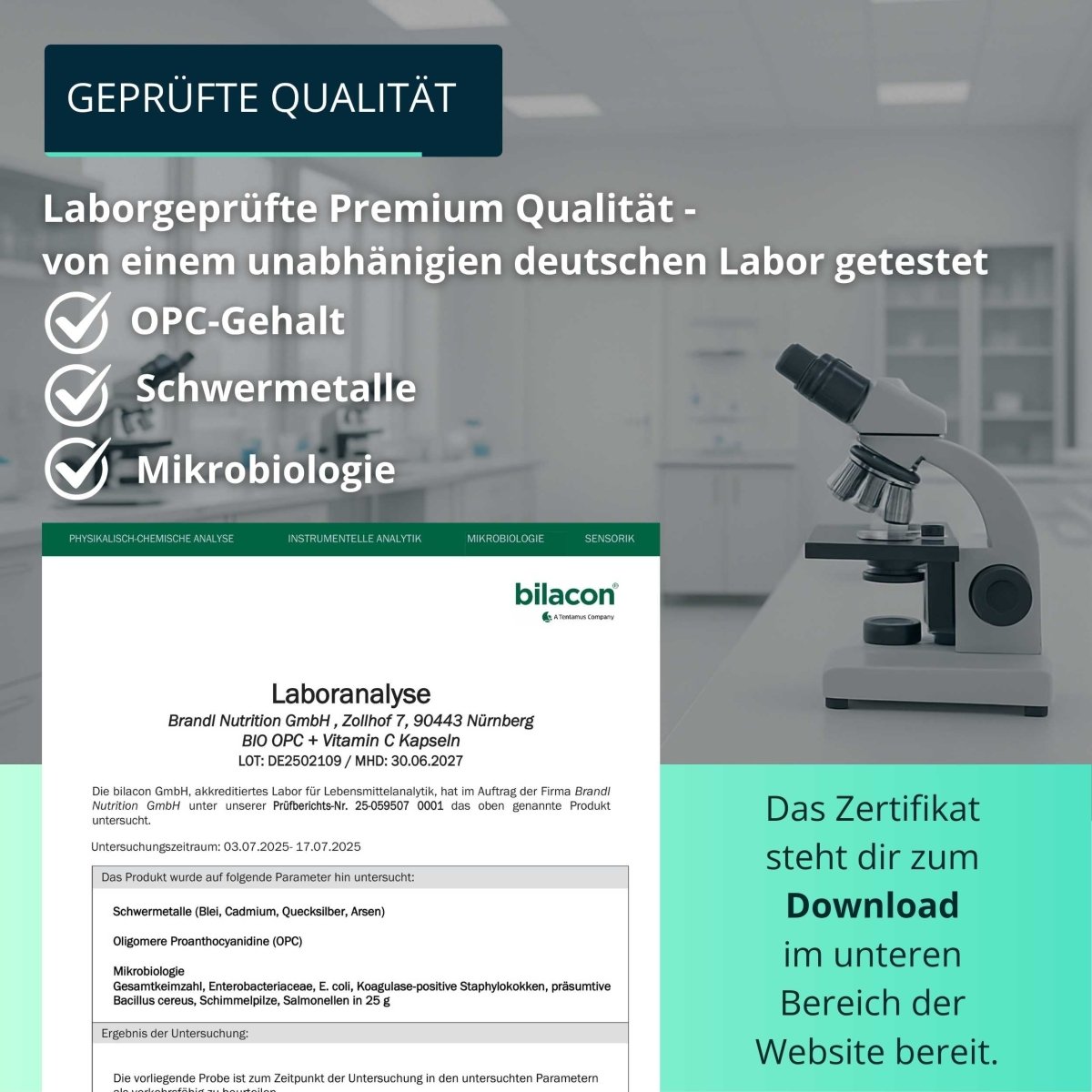 Bio OPC + Vitamin C Kapseln - Brandl Nutrition
