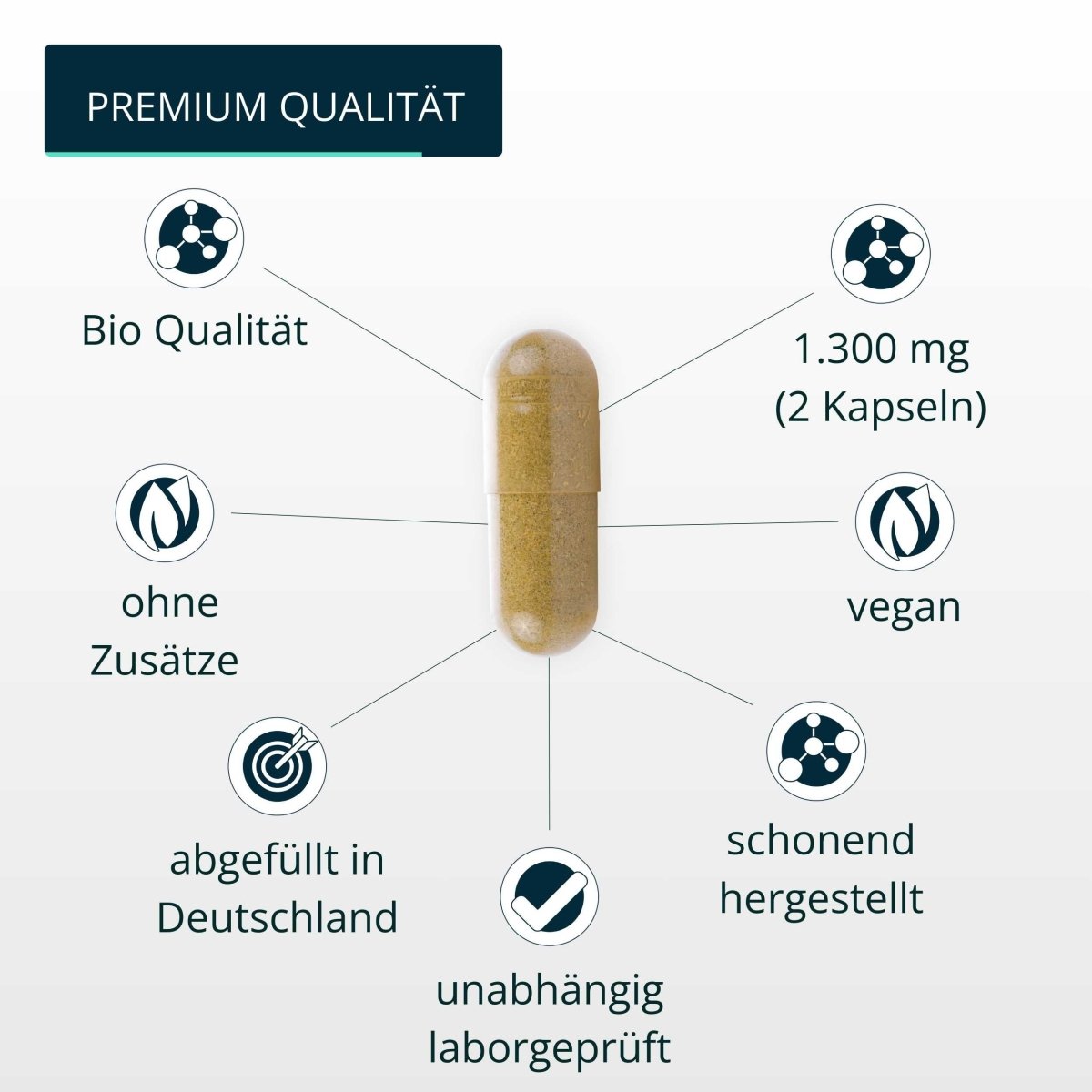Bio Reishi Kapseln - Brandl Nutrition